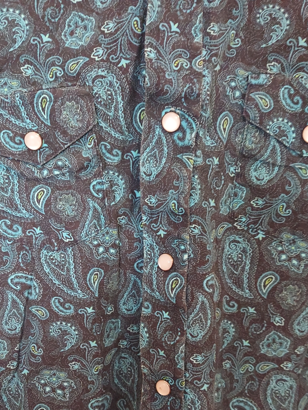 Panhandle Boy's Teal Black Paisley Western Long Sleeve Pearl Snap Shirt Sz M/10 - Picture 5 of 9